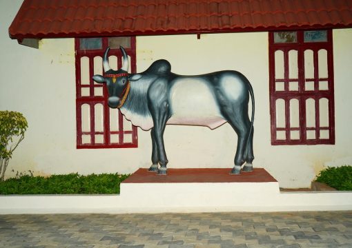 Temple Street Suite – Duplex Room