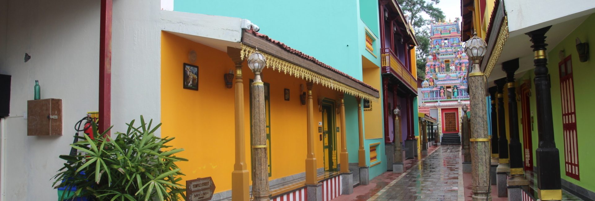 Temple Street Suite – Single Bed Room